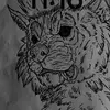 Leo=LION - @leonardo66533 - TikTok