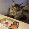 leoliss_ - @leoliss_ - TikTok