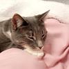 Leo - @leo.loo_ - TikTok