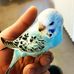 Leonardo Loo - Facebook
