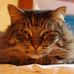 Leo Lyon - Facebook