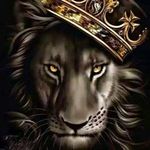 Leo Lyons - @leo.lyons.12382 - Instagram