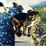 leo - @leo_mackey03 - Instagram