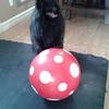 Leo Madore - @leo.madore - TikTok