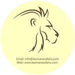 Leo Mane Safaris LTD - @leomane_safaris - Instagram