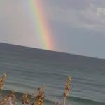 Leo Manes - @manesleo - Instagram