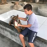 Leo Manestar - @leo.manestar - Instagram