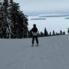 Leo - @leo.mann - TikTok