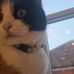 Leo Manning - Facebook