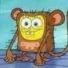 user6349559670619 - @leo_manning - TikTok