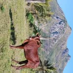 Leo Mara - Facebook