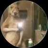 Leo Mares - @leo.mares5 - TikTok