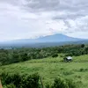 Leo store - @leomariona - TikTok