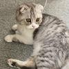 A Account - @leo_marlowe - TikTok