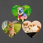 Poppy, Leo & Marlowe - @poppy_and_the_orange_boys - Instagram