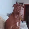 Leo Martel - @user8541957424221 - TikTok
