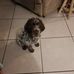 Leo Masse - Facebook