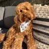 leo.massey - @leo.massey - TikTok