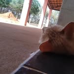 Léo Mata - @rodolfo_ofc03 - Instagram