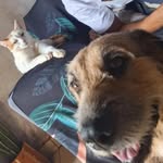 Leo Mata - @damatta.leo - Instagram