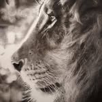 Leo Mata - @leo8mata23 - Instagram