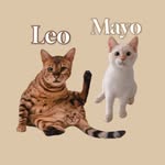 Leo & Mayo - @leomayo.cat - Instagram