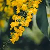 Leo May ♌ - @entertainment.tv16 - TikTok