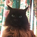 Leo McFarlane - Facebook