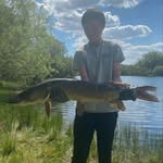 @leomcfarlane16 - Instagram
