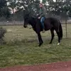 Leo McGraw - @leo.mcgraw - TikTok