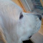 Leo mckenna - @leomckee81230 - Instagram