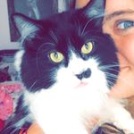 King Leo - @kingleomcmanus - Instagram