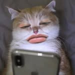 Leo - @leoo.mcqueen - Instagram