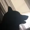 Leo - @leomead05 - TikTok