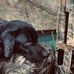 Leo Meeks Jr. - Facebook