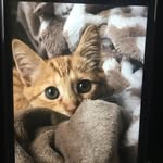 Leo Meyer - @leomeyer2 - Instagram