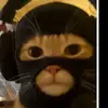 Leo Mol - @leo.mol30 - TikTok