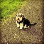 Charlie Moriarty - @leo.moriarty.9 - Instagram