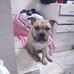 Leo Nault - Facebook