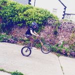 leonaulton - @_leoncuzz_ - Instagram