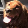 Leo Naylor - @leonaylor1 - TikTok