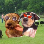 Leo Naylor And Murphy Korevaar - @leoandmurph_paws4life - Instagram