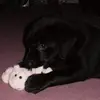 Leon Naylor - @leon.naylor8 - TikTok