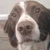 leonaylor6 - @leonaylor6 - TikTok
