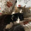 Leo Newman - @leo.newman61 - TikTok