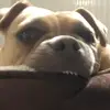 Leo Newman - @leo.newman69 - TikTok