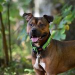 Leo Nicholson - @leonardosweetboi - Instagram