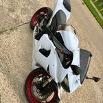 Leo Nicholson - @nicholsonleo25 - Instagram