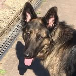 Leo Nielsen - @leo_nielsen_2005 - Instagram