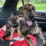Bailey Leo Oakley Tito Mav - @furateno - Instagram